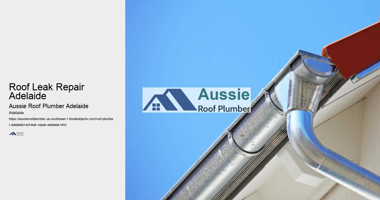 Roof Leak Repair Adelaide